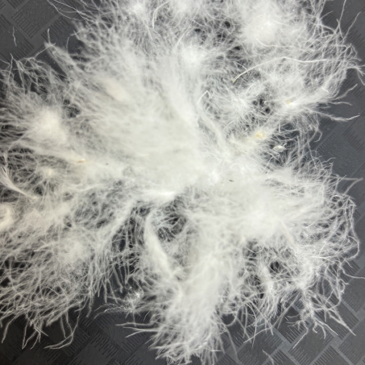 【散装白鸭绒一斤装】95%清水老鸭绒精选吊吊绒90鸭绒填充服装充绒