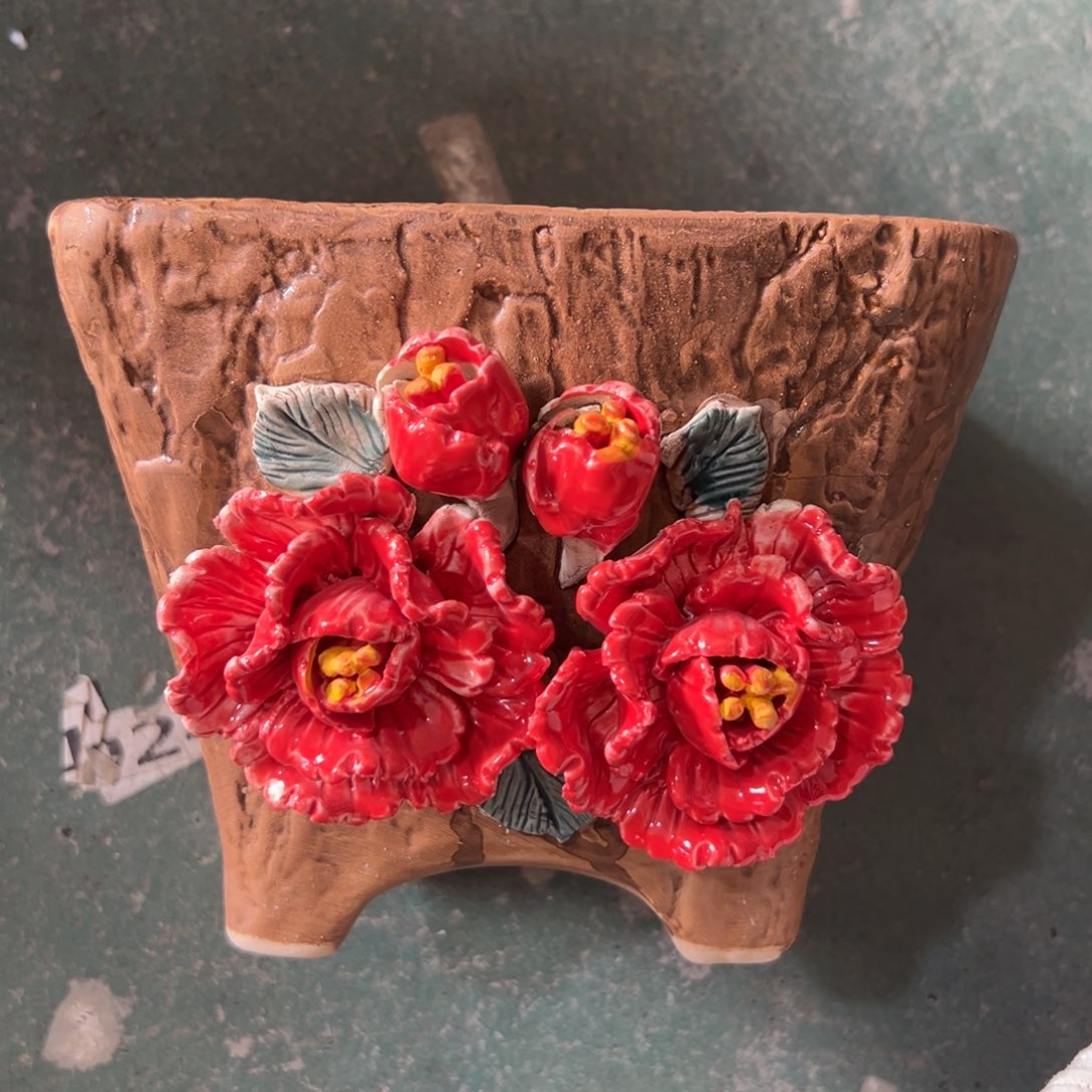 花盆，拍满20发货，退款拉黑