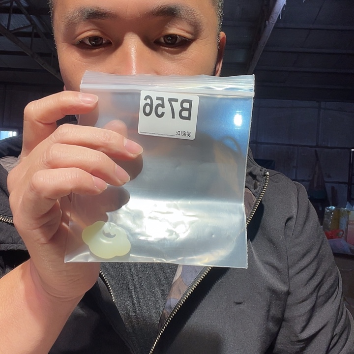 大叶紫檀（黑酸枝木类）756