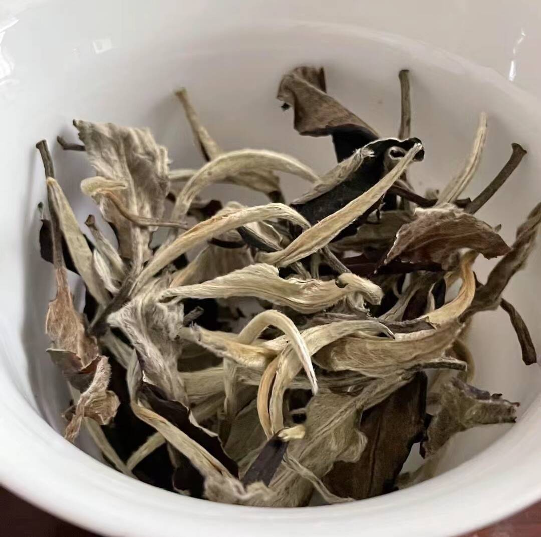 云南普洱 景谷 月光白  生普