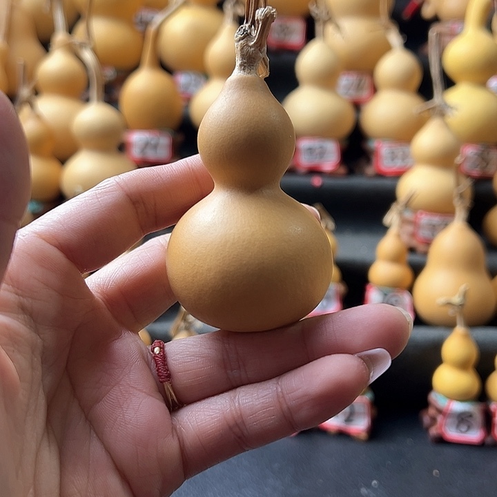 拓****赁天然葫芦葫芦葫芦葫芦