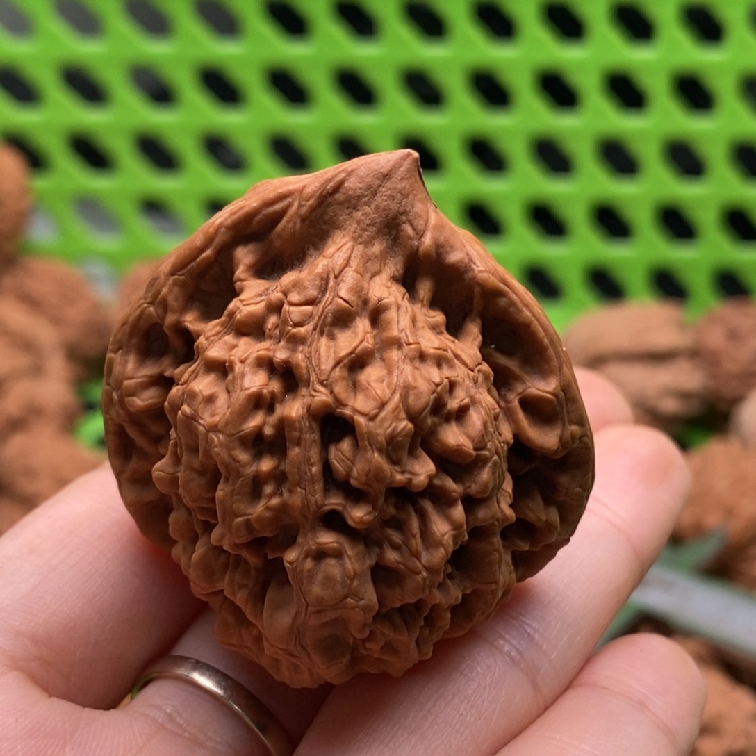 放***牛核桃定制商品不退不换