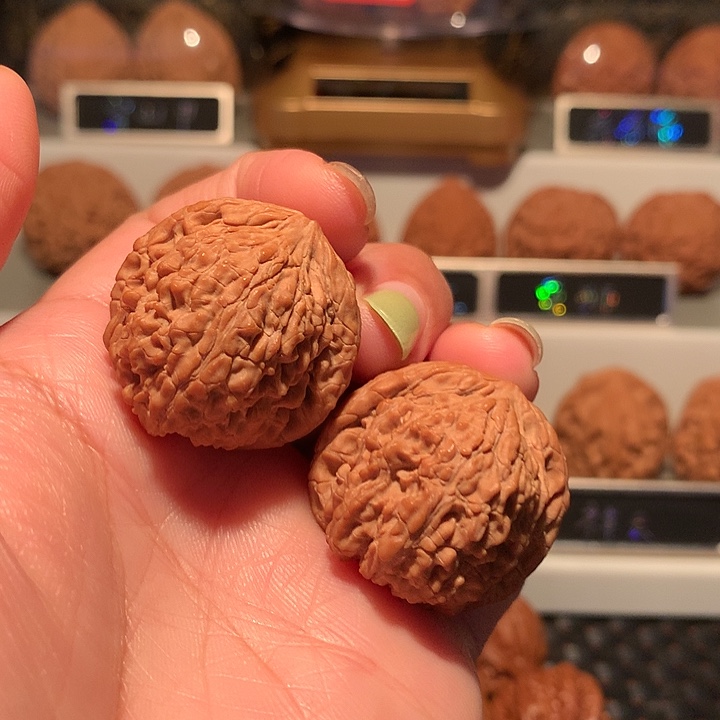 琴***荫文玩核桃把件荔枝