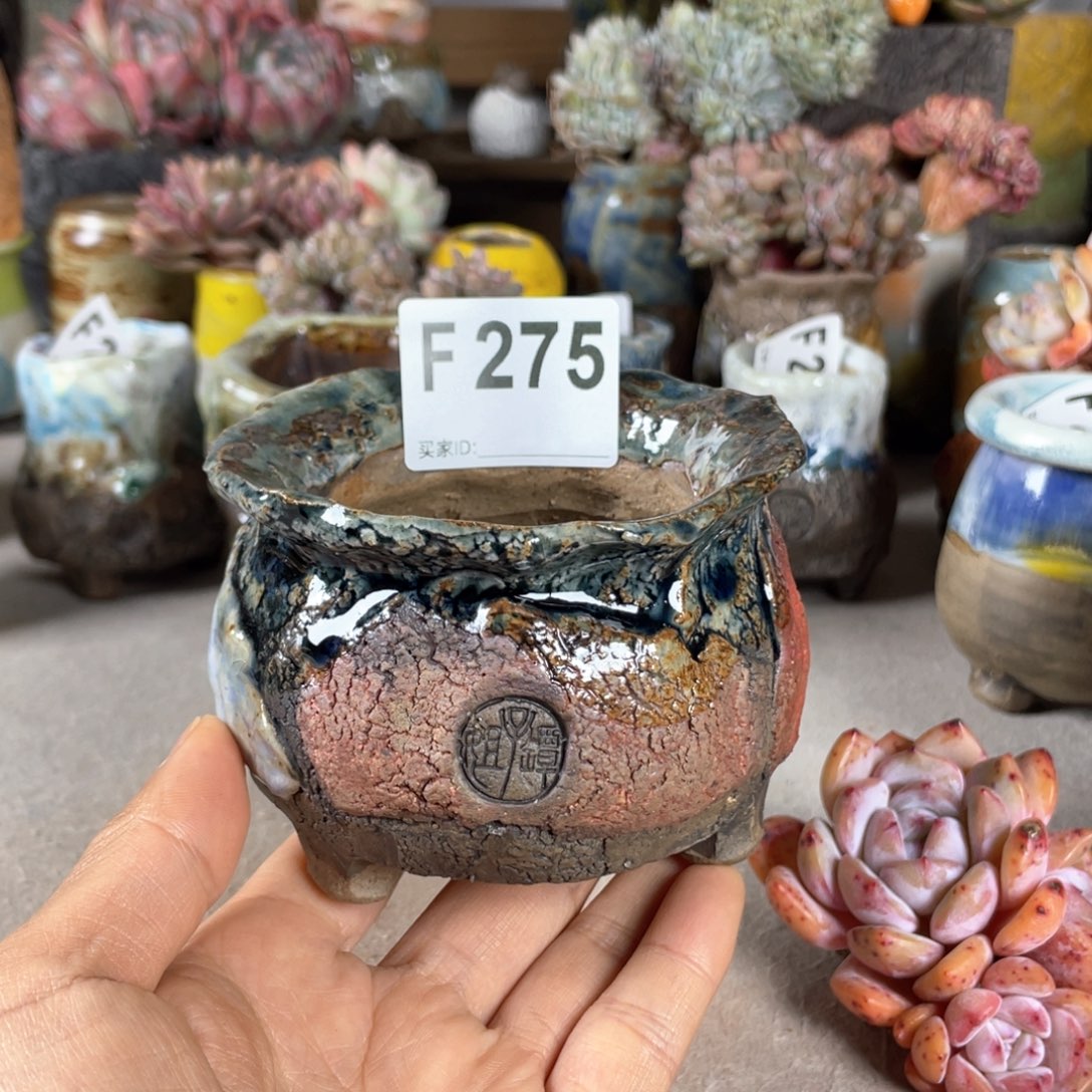 紫砂花盆外口9不含肉 孤品 异型
