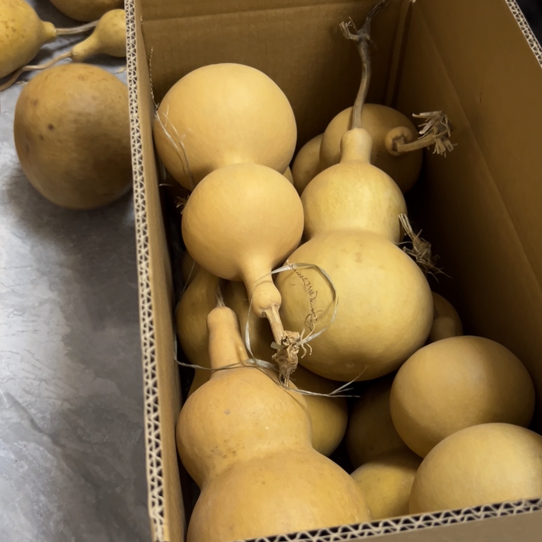 河***部有机玻璃葫芦葫芦