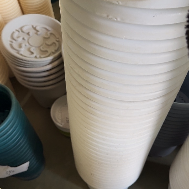 瑕疵5#口径29白色5个无托