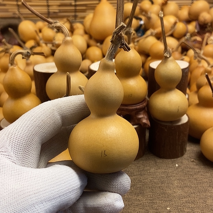 文玩葫芦 完美主义者 慎拍15