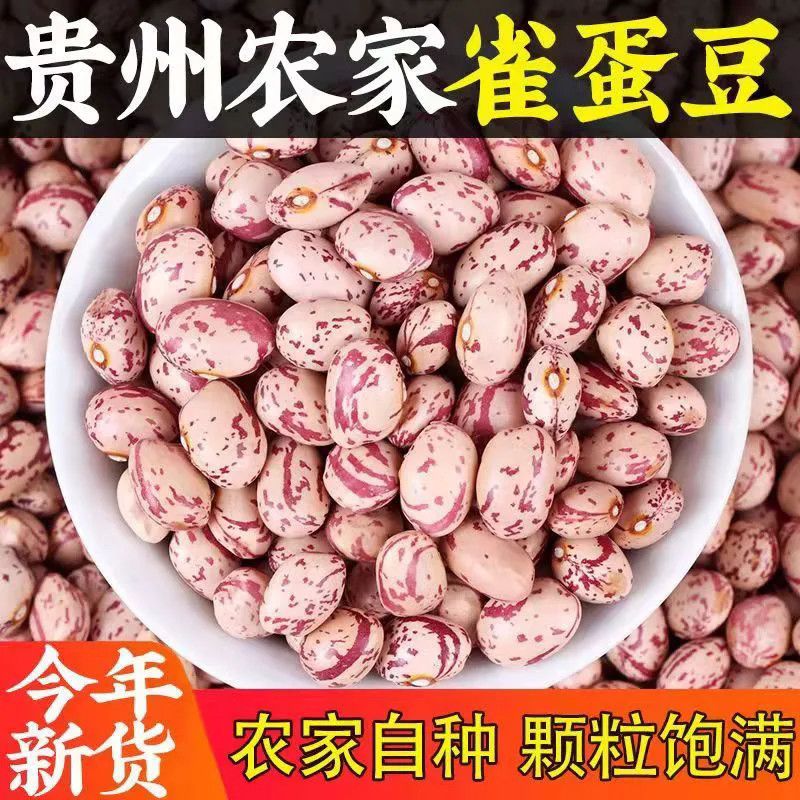 2025年新货 贵州老品种云雀豆 熊猫豆 花芸豆