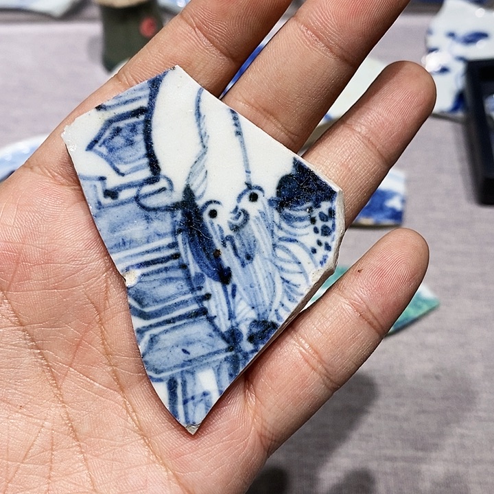 金铜精品瓷片标本
