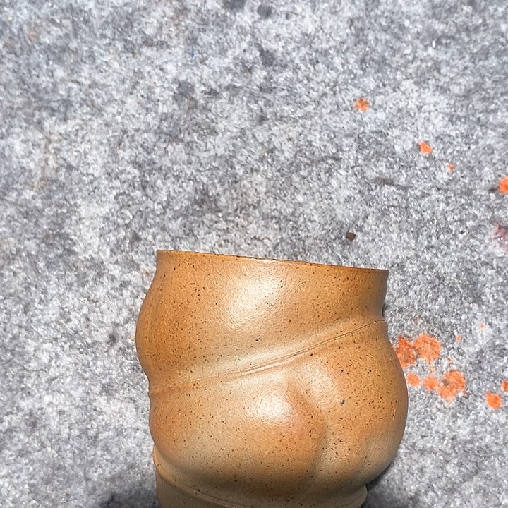 紫砂茶壶宜兴紫砂杯