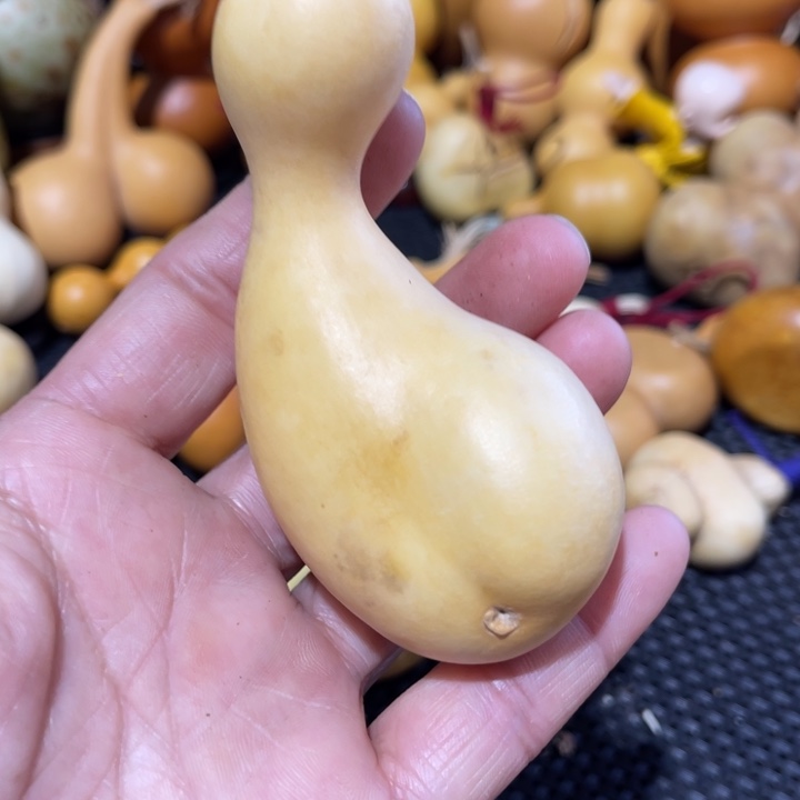 睡***、葫芦葫哈哈哈哈哈哈哈哈姐姐