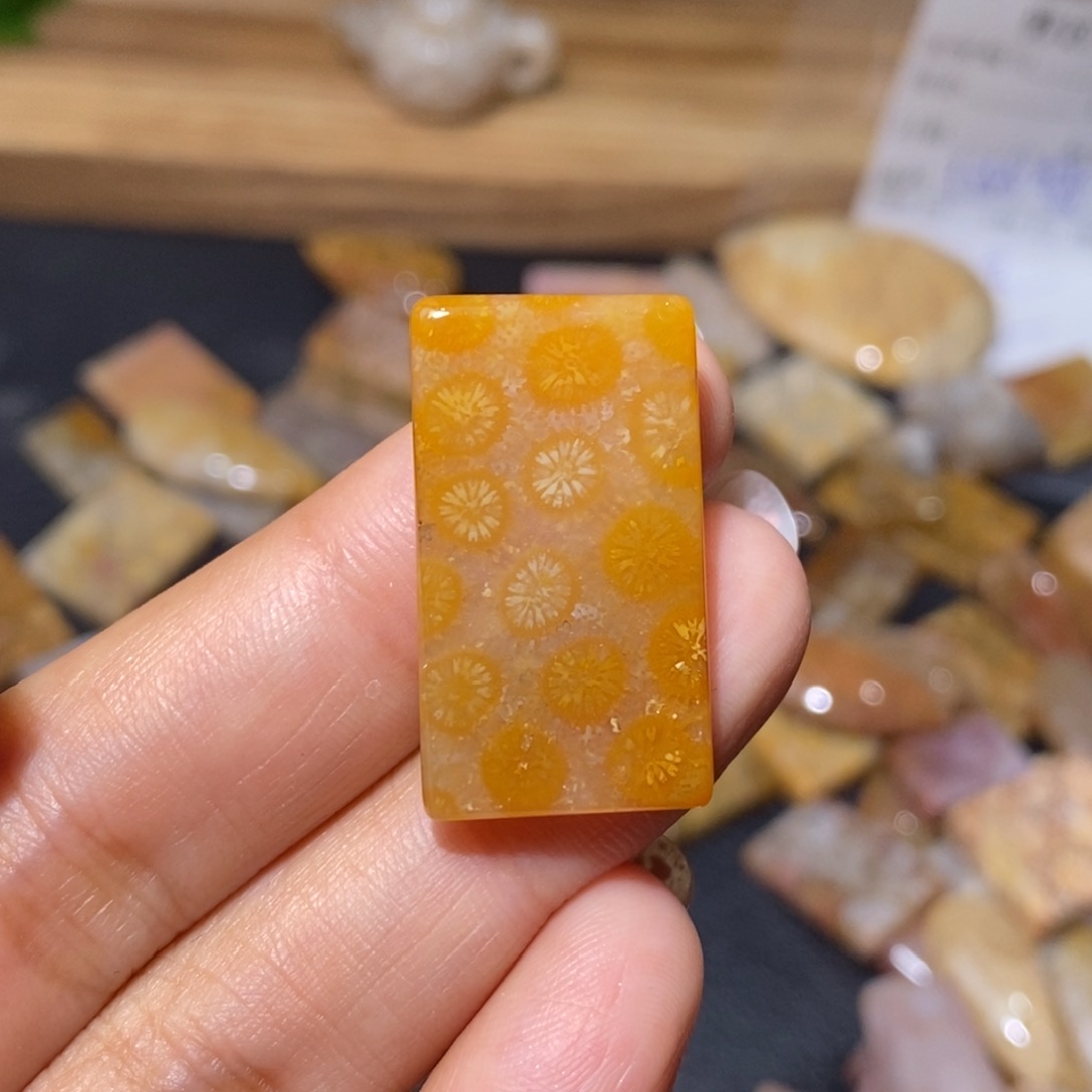 【闪购商品】硅化玉颈饰未镶嵌