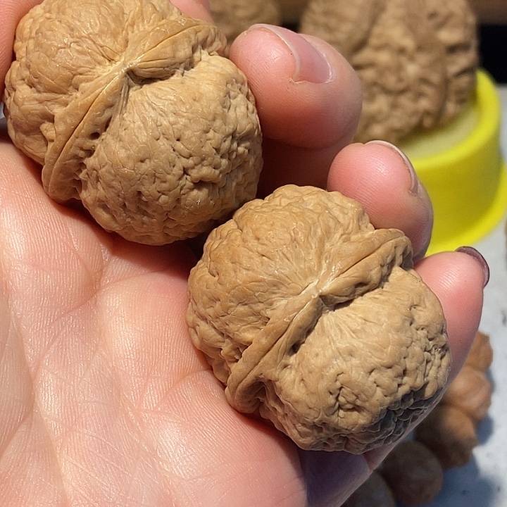 用***8把件文玩核桃877777¥¥¥¥