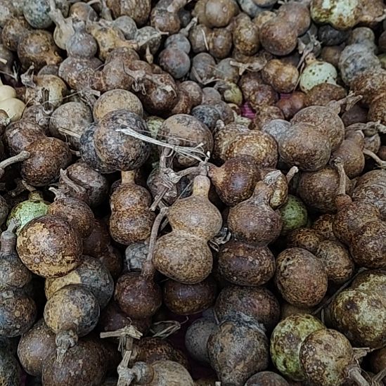 木花皮不退不换，包邮不包成，慎拍