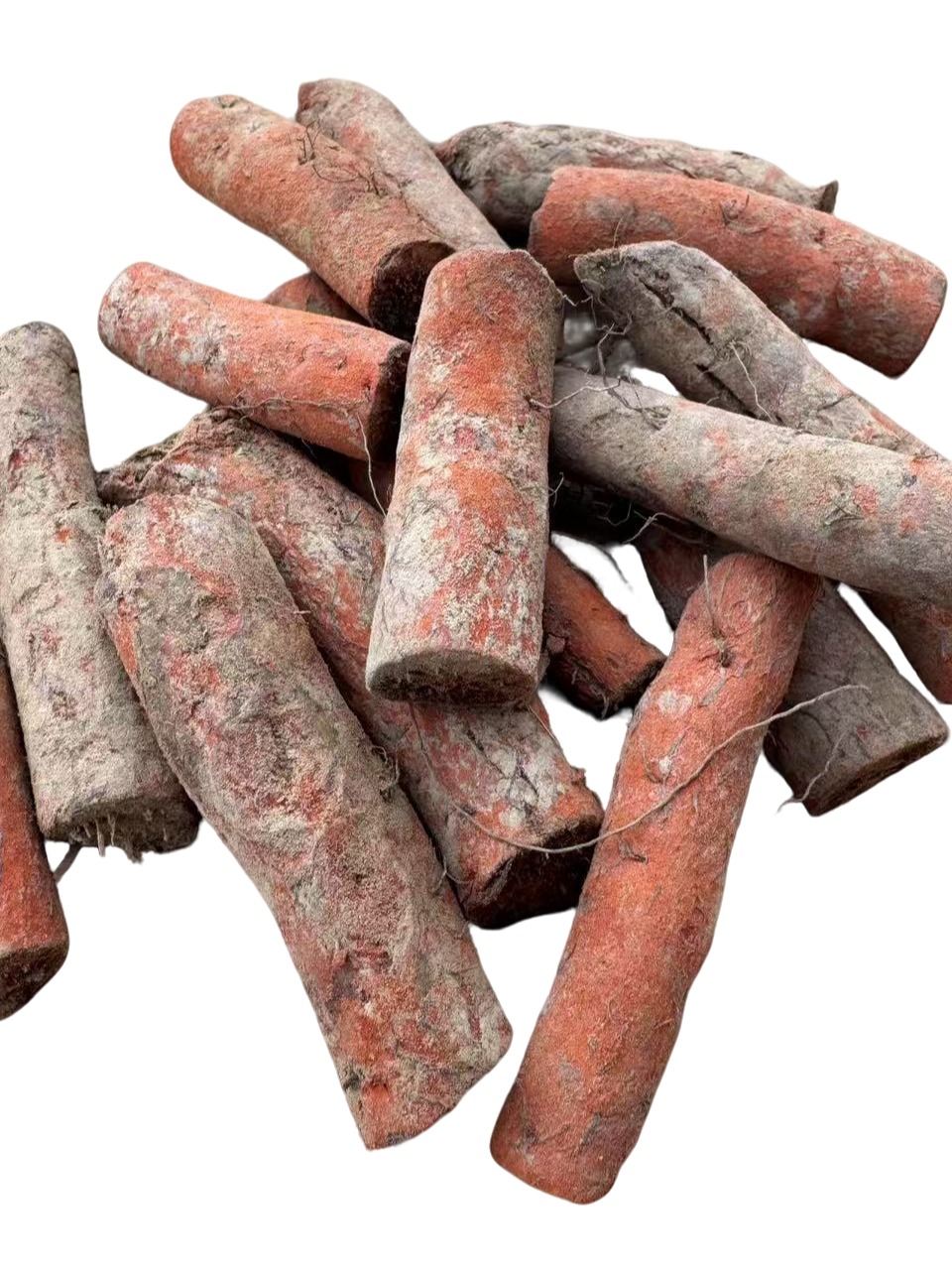 精选改良丹参种段约500颗