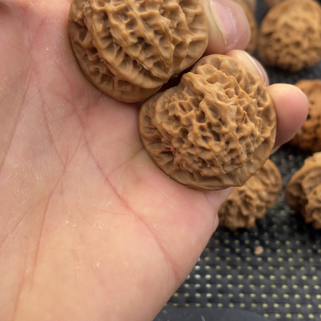 秦岭小王文玩核桃