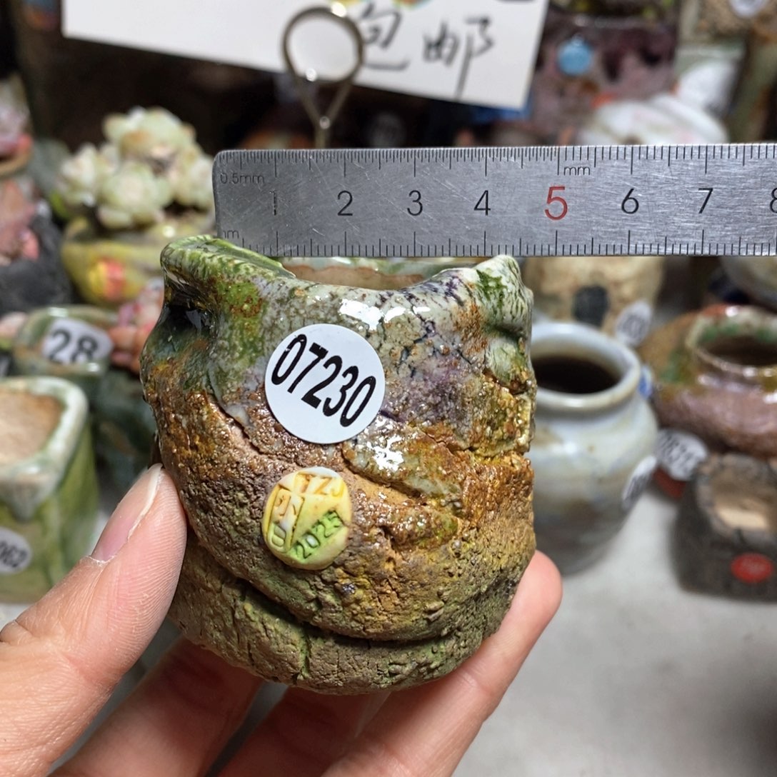 花盆拍3送一个小礼物