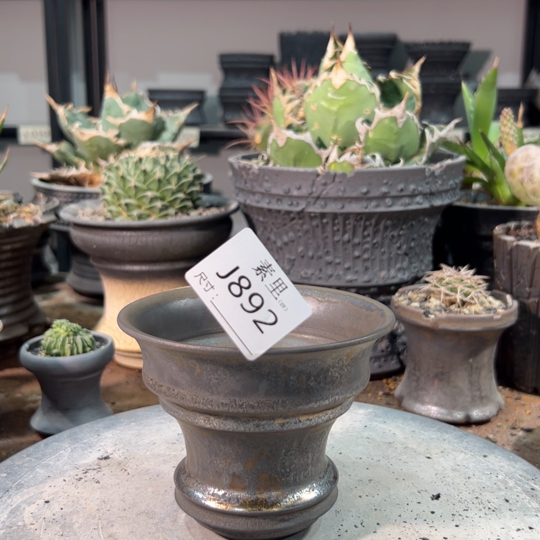 景德镇手工素里内口12高9.5