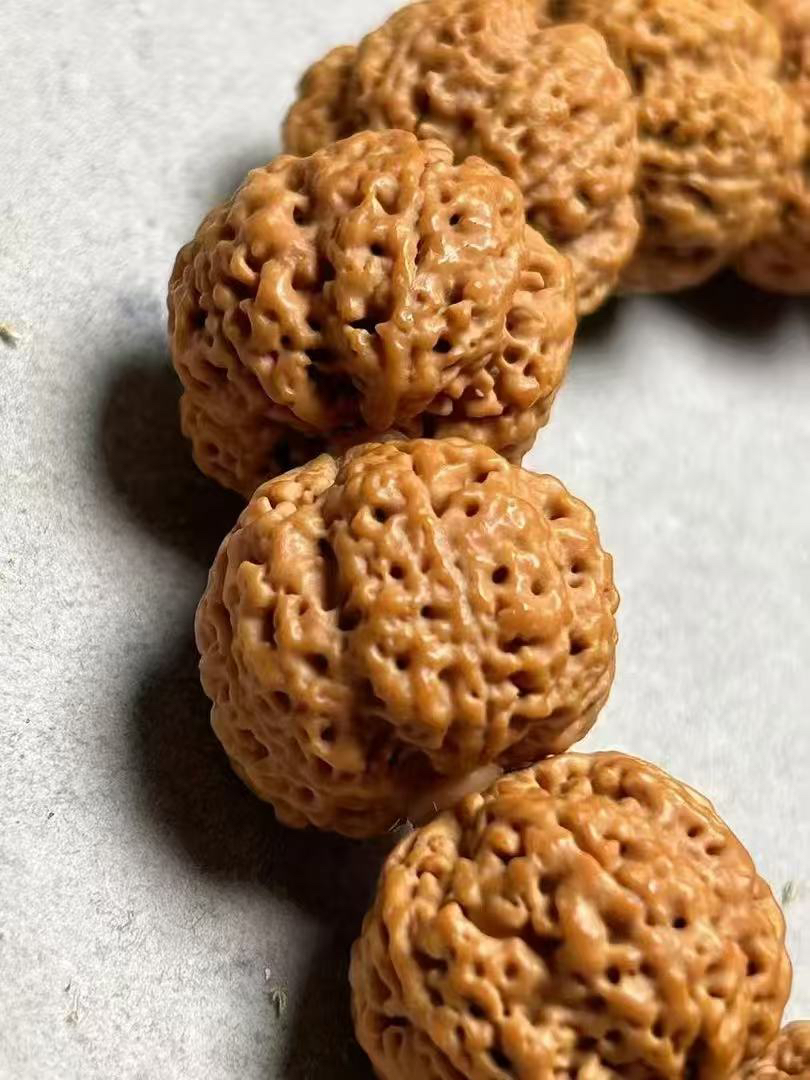 尼泊尔金刚菩提卓越一号