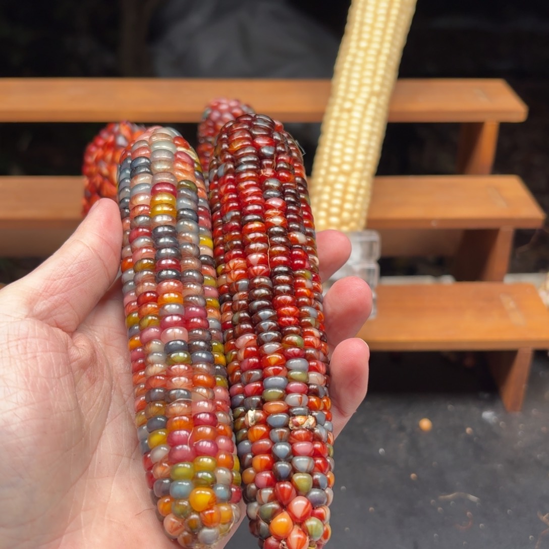 大***Q银S925我我我我我我我我我我