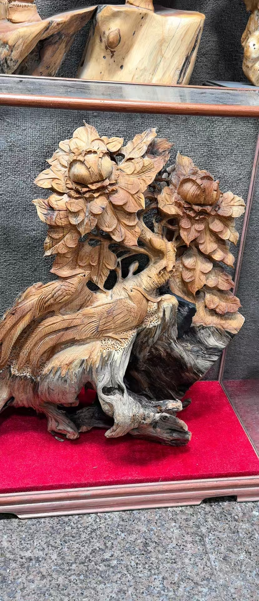 花开富贵太行崖柏天然根抱石
