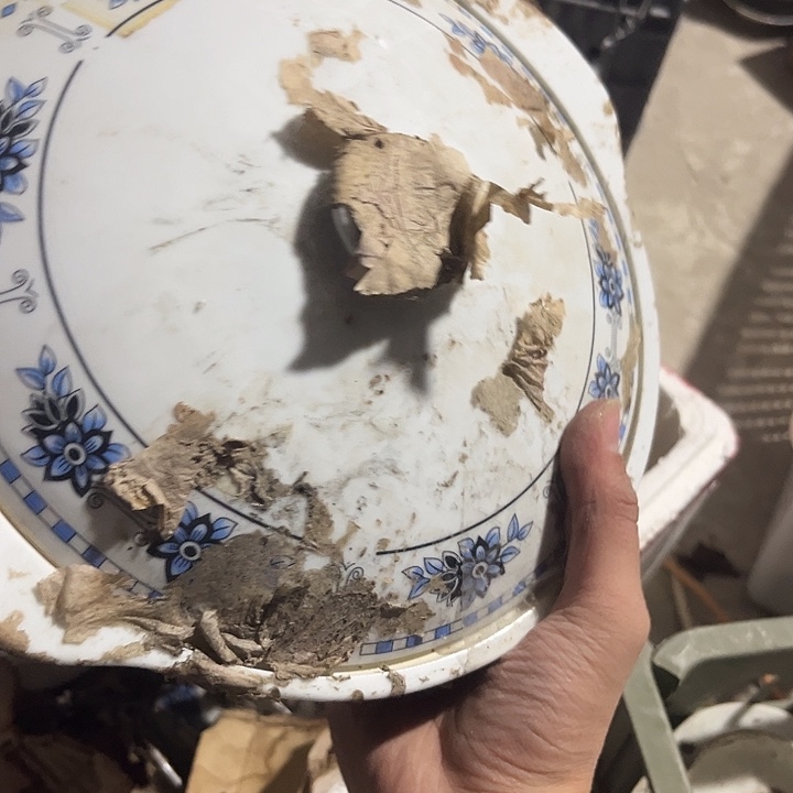 其他你不哈哈哈哈哈哈回家