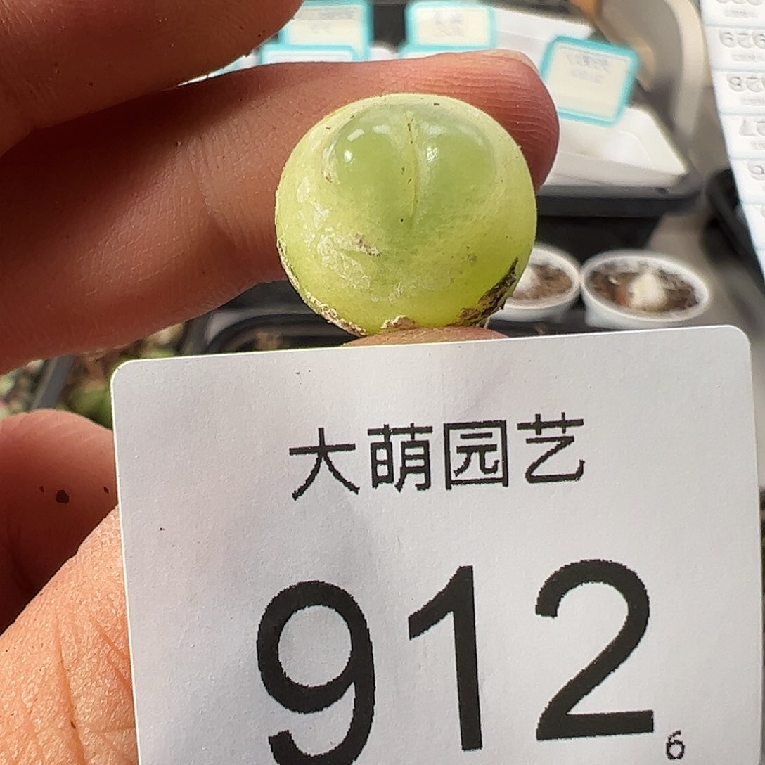 0000912 清盒福利微瑕无售后……