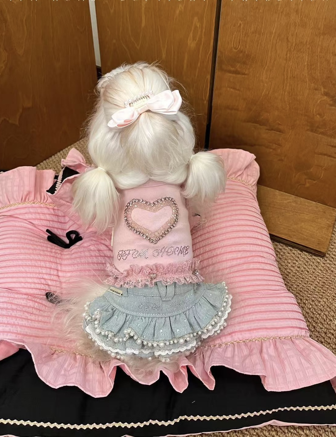 春夏款小体型宠物衣服T恤宠物衣服买手店