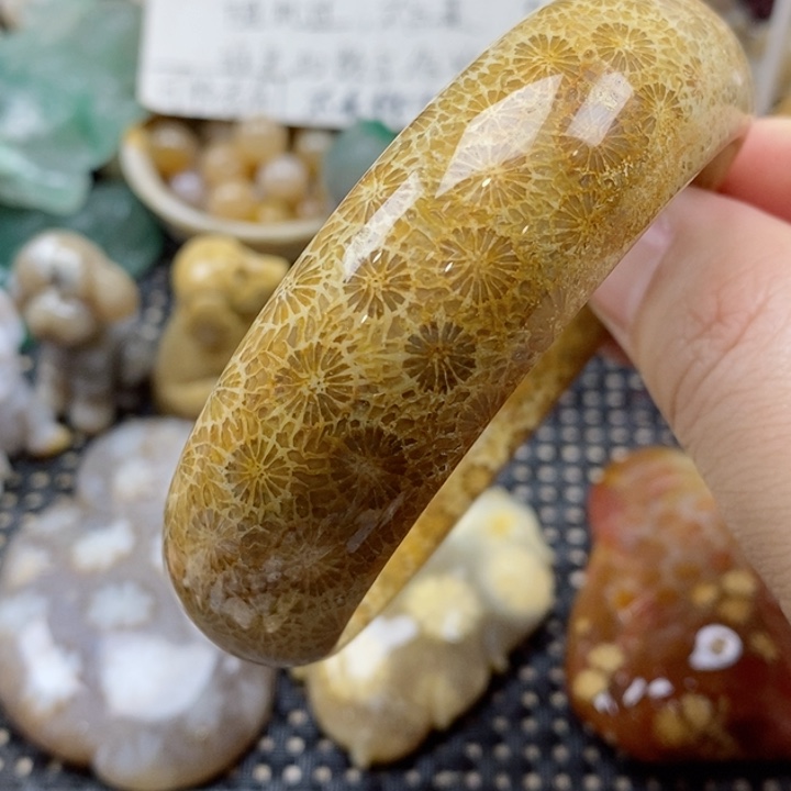 硅化珊瑚（珊瑚玉）颈饰未镶嵌