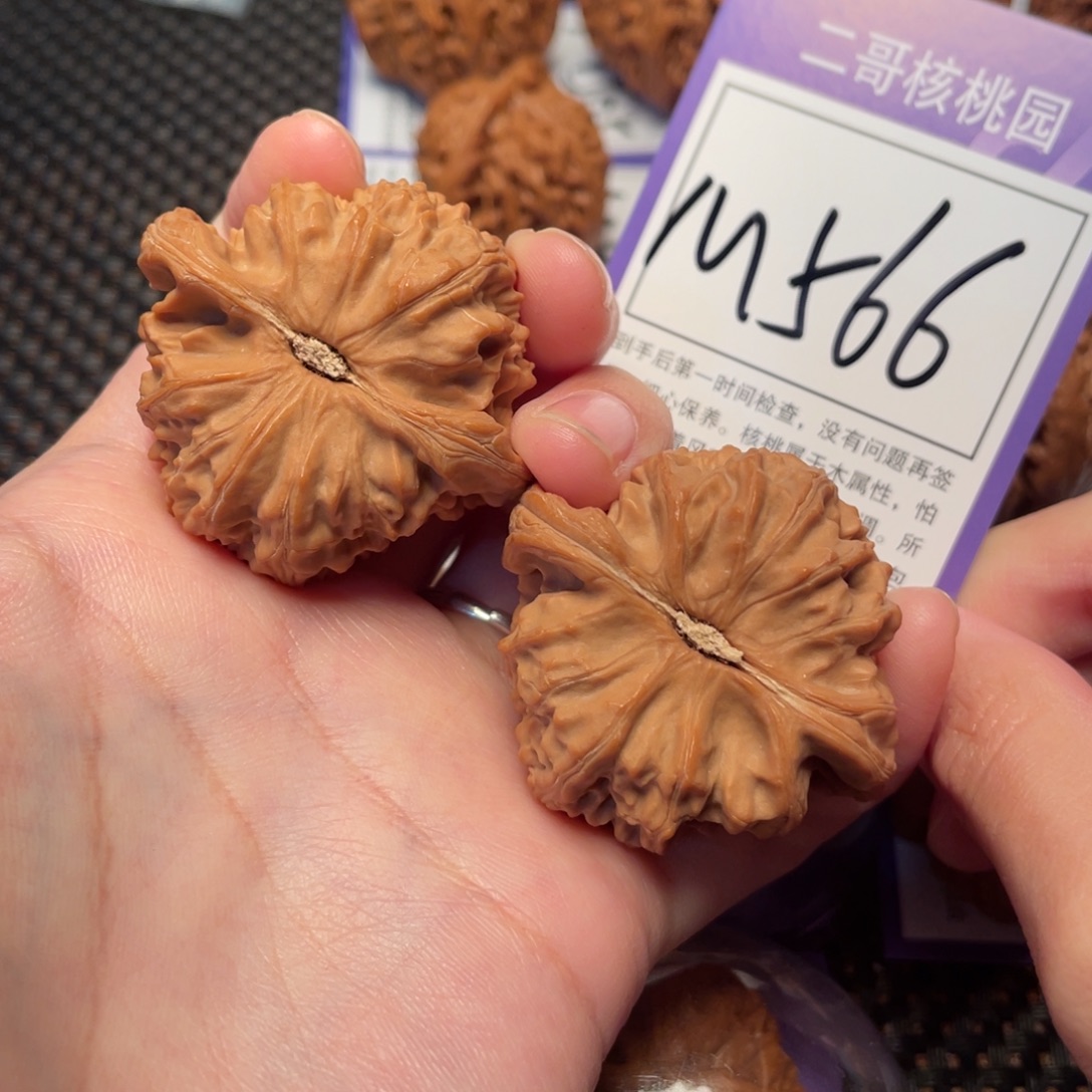 桃核把件M566号白狮子44