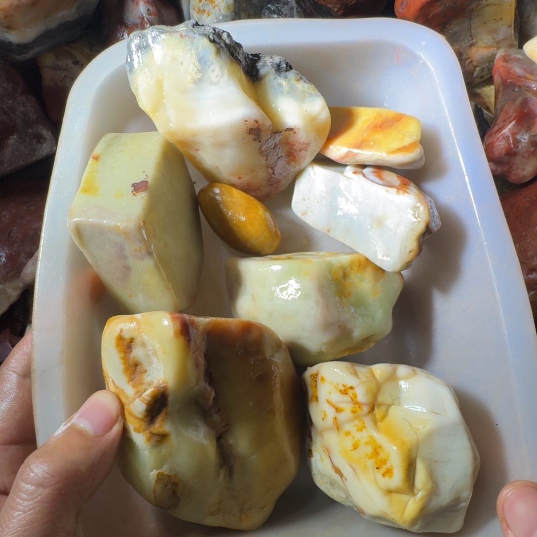 沧***啸寿山石898888999899999