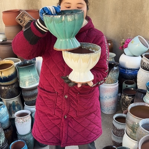 20口17高盆子盆子 