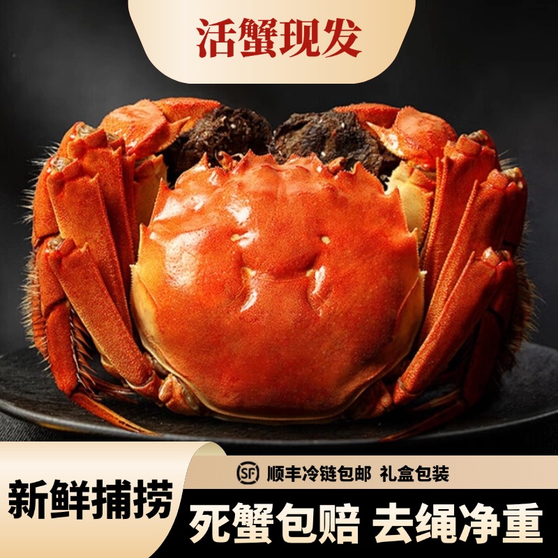 【活蟹现发】大闸蟹4.0-3.7两公+4.0-3.7两母8只送2只 礼盒顺丰包邮