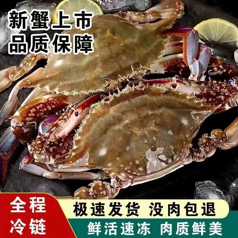 L【冻蟹】连云港黄海湾野生三角蟹 公蟹 到手12-15只 2-3两/只 净重4斤 公母混发