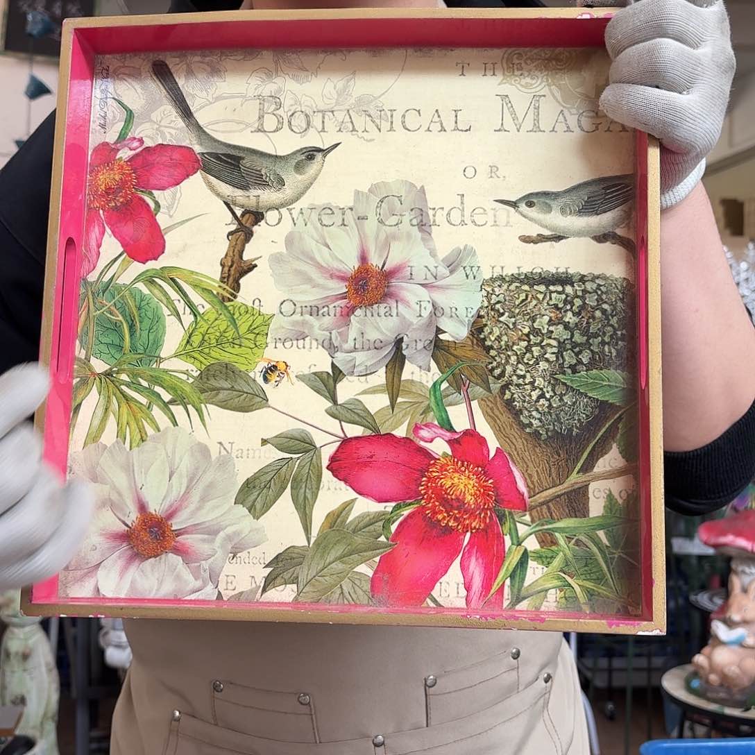 核桃木/黑胡桃（胡桃木）