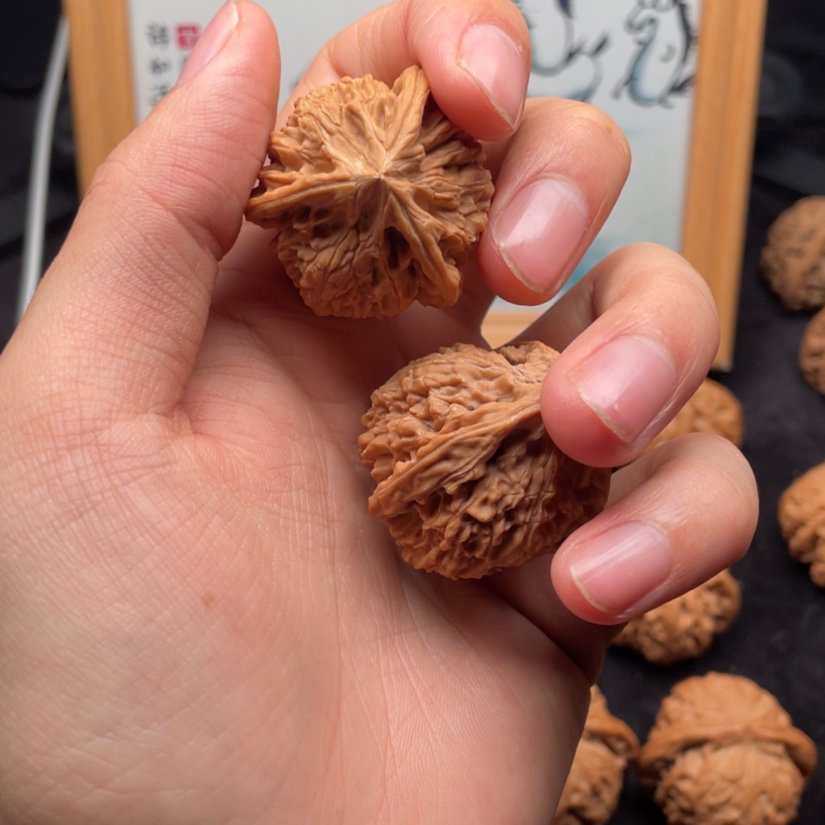 【闪购商品】文玩核桃把件全品小正