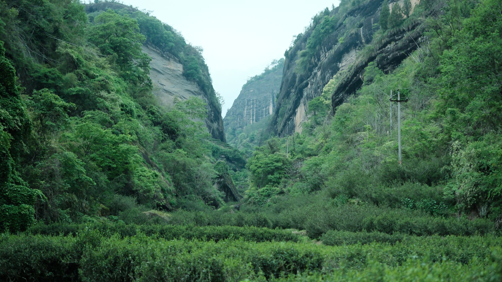  终於天心 |  高货M盒