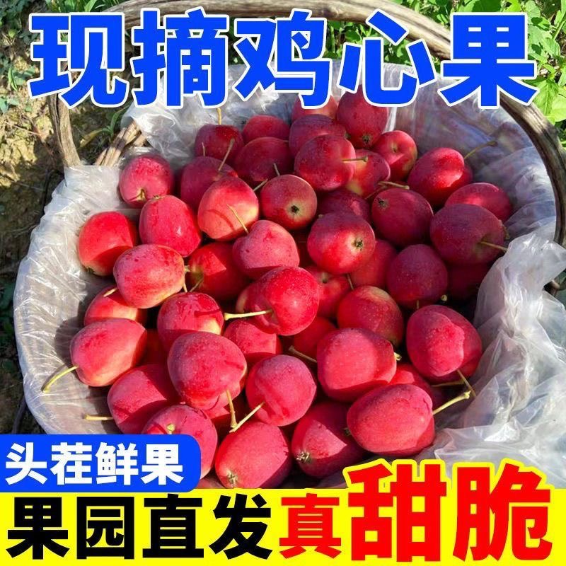 【涛涛专属】东北新疆直发新鲜鸡心果锦绣香妃海棠果当季脆甜多汁
