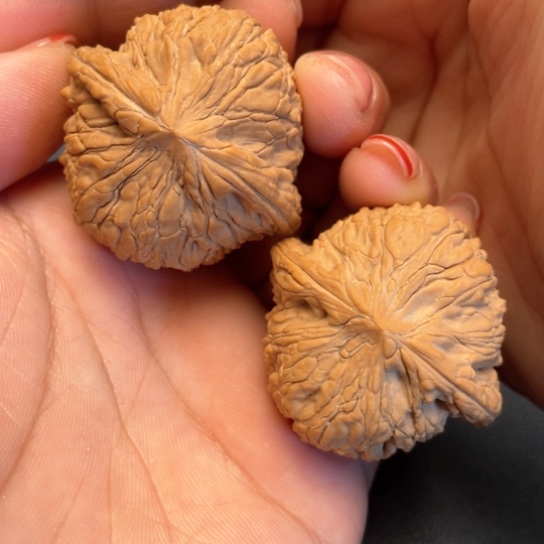 文玩核桃把件40泥鳅背全品