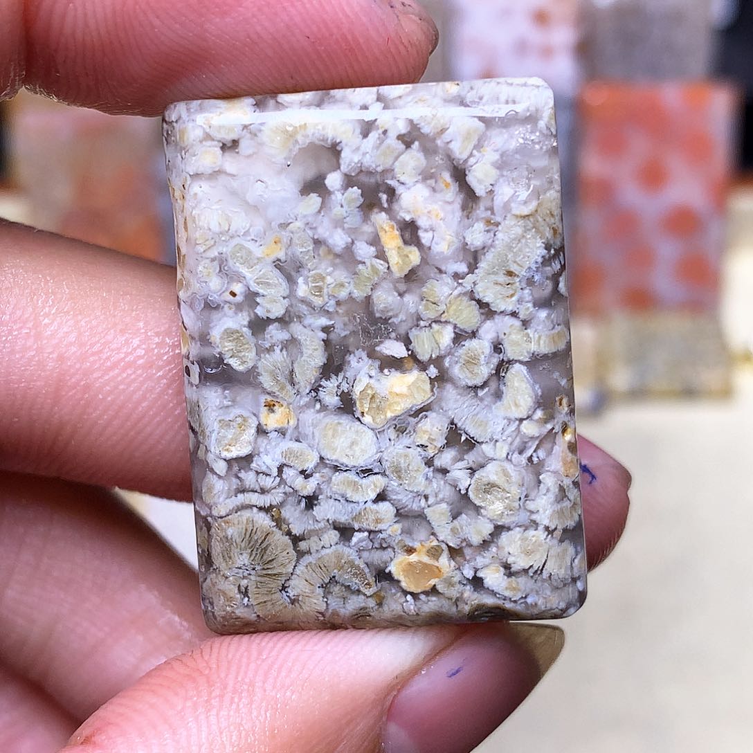 硅化玉珠宝奇石合金丽*