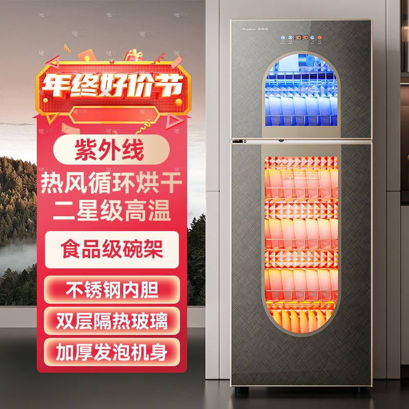 Royalstar/荣事达免沥水消毒柜家用小型消毒碗筷柜商用立式台式