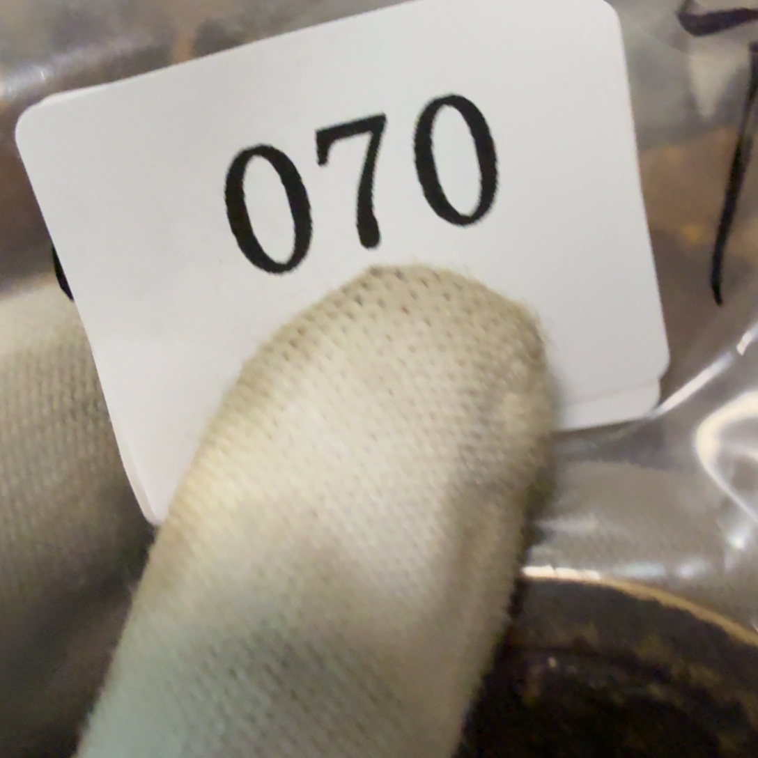 逍***遥我也想去看你啊我也