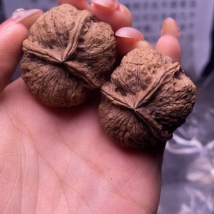 核桃云南野生铁核桃63号36mm