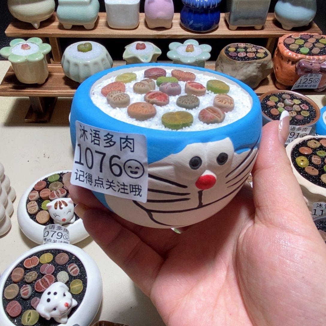 所见即所得 一物一拍 1076