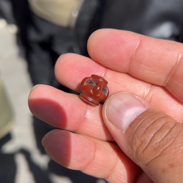 藏传佛教文化的传播