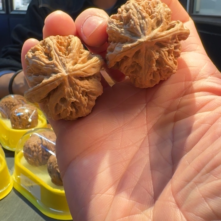 大粗筋 全品顶货 