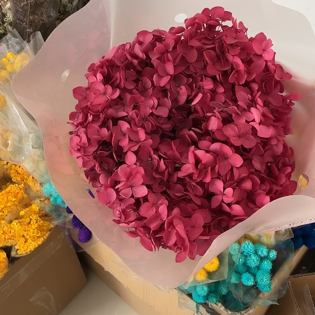 黛***rH97号红色绣球带杆