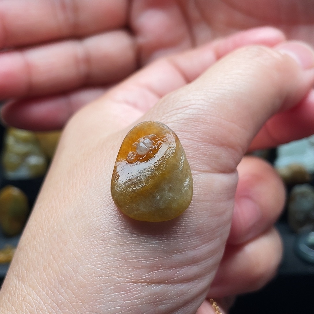 定制翡翠未镶嵌翡翠蜘蛛