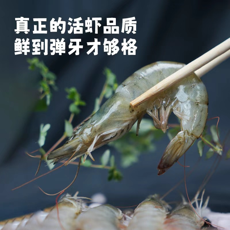 【新店开业】渤海湾盐田虾 一斤称15-17条 鲜活速冻 顺丰包邮！