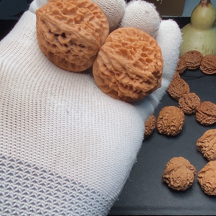 把件文玩核桃麒***乡秦岭野生金豆